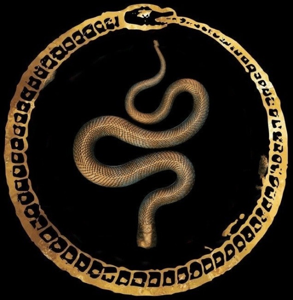 image (1)