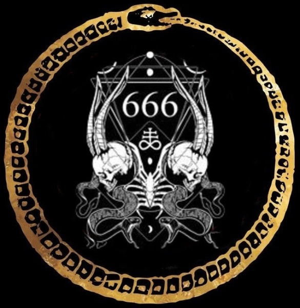 image (12)
