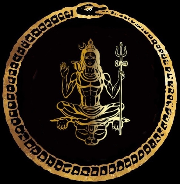 image (16)