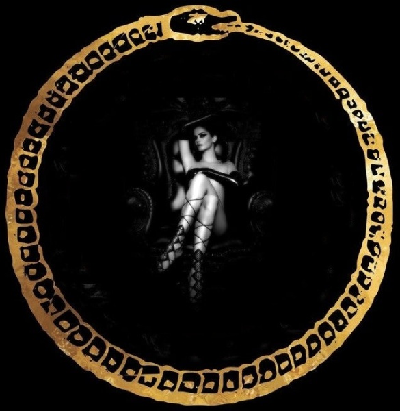 image (17)