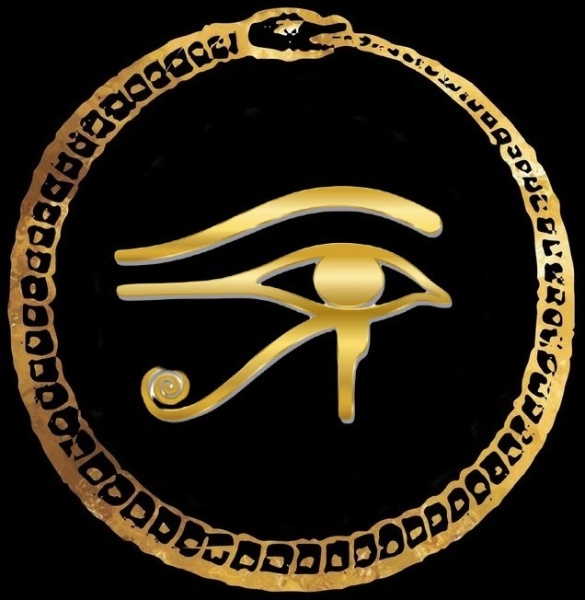 image (24)