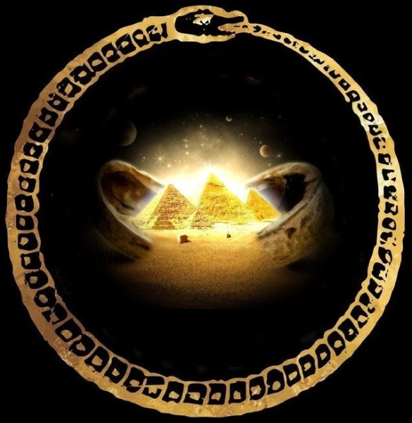 image (25)
