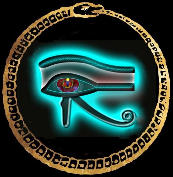 image (26)