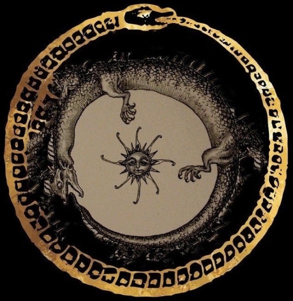 image (29)