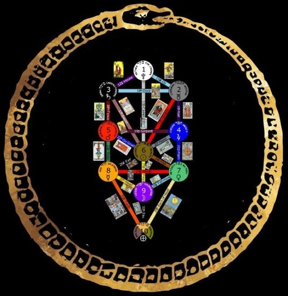 image (33)