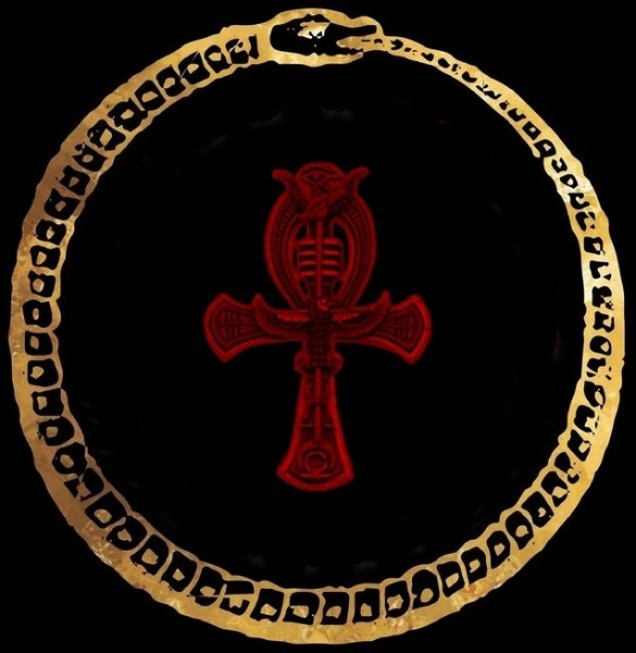 image (5)