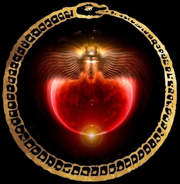 image (50)