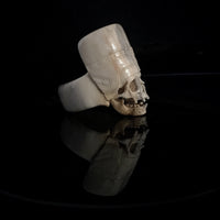 image_4517ce77-dbeb-41f0-8bed-a66c96aaa5c7_200x200