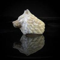 image_6e734e17-7a09-48ec-ad11-d460de05ab73_200x200