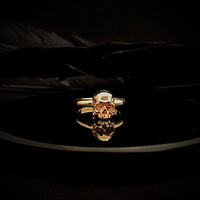 image_7f434832-68c2-4c84-ae88-dcde99b4cad4_200x200